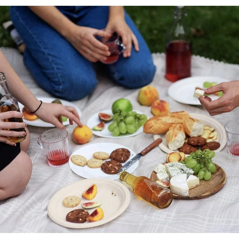 Vplus 150 Pack Compostable Disposable Paper Plates 10.25 inch Super Strong